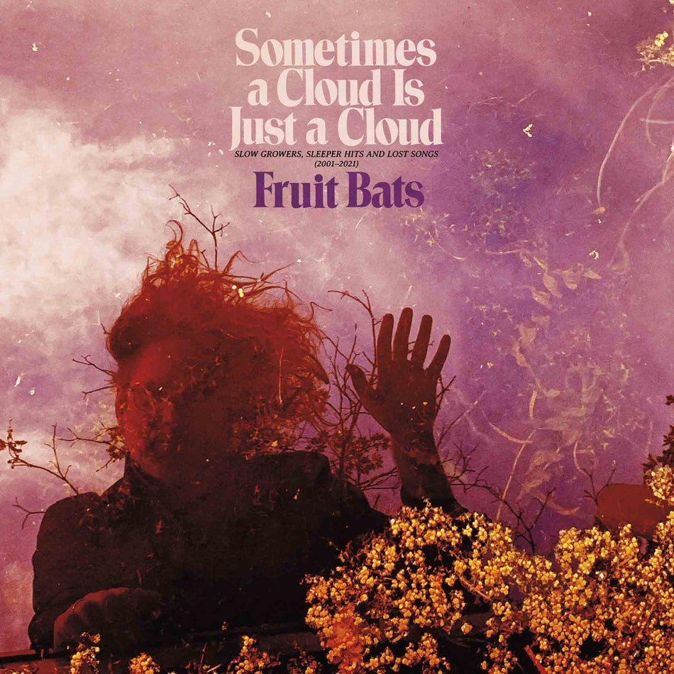Sometimes A Cloud Is Just A Cloud: Slow Growers, Sleeper Hits And Lost Songs (2001 - 2021) - Vinyles Rose Et Violet - Front Cover
