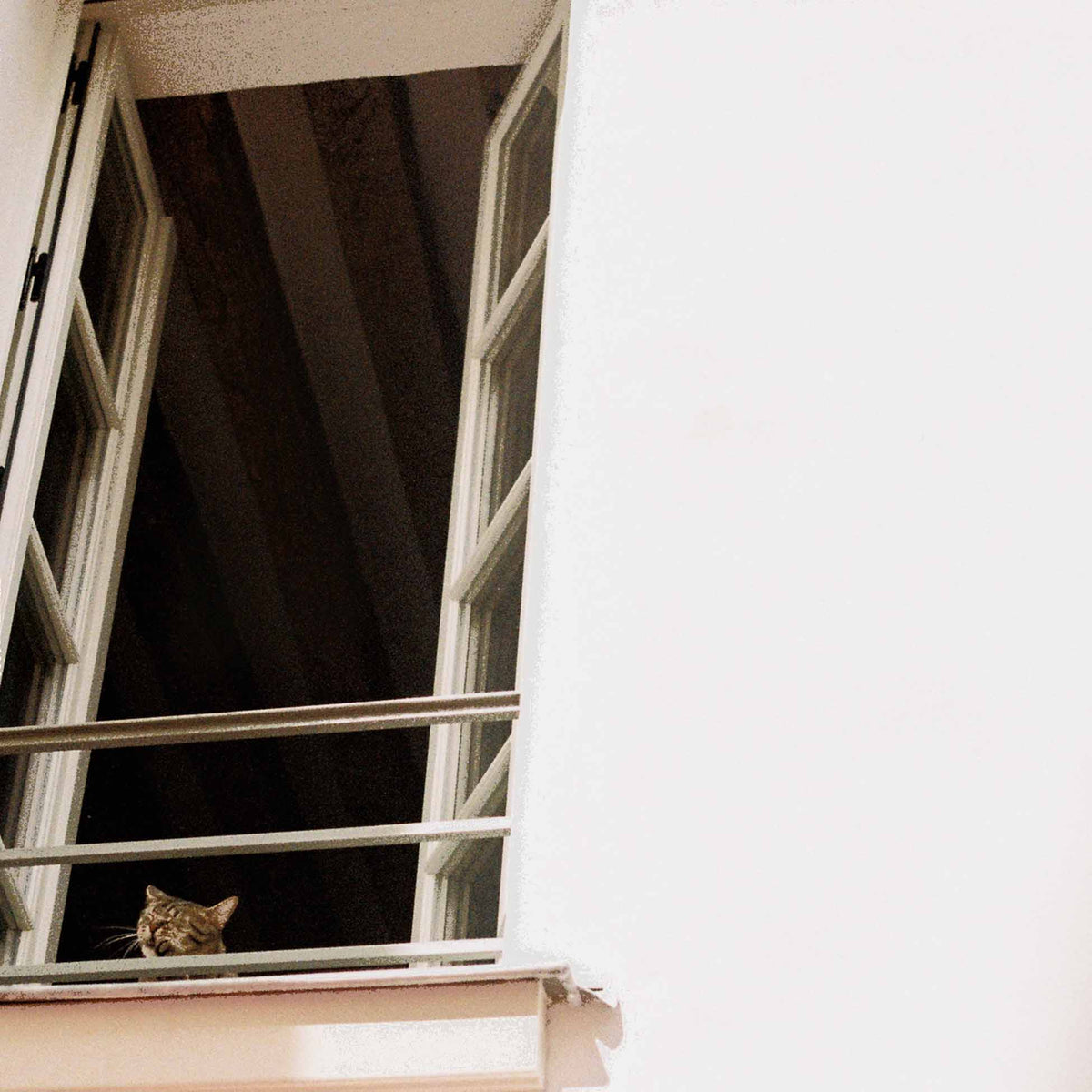 Something Soft - Front Cover