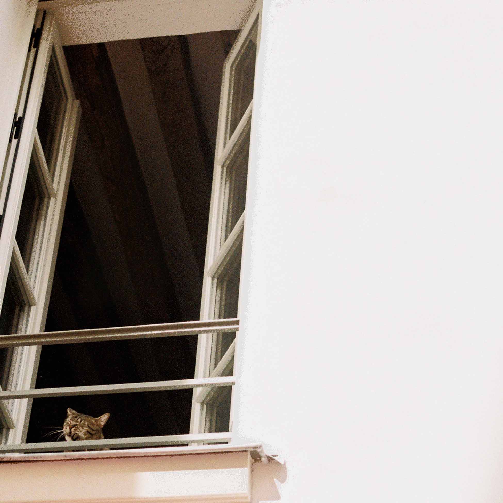 Something Soft - Front Cover