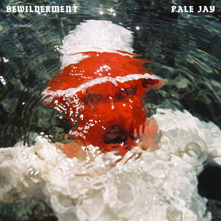 Bewilderment - Front Cover