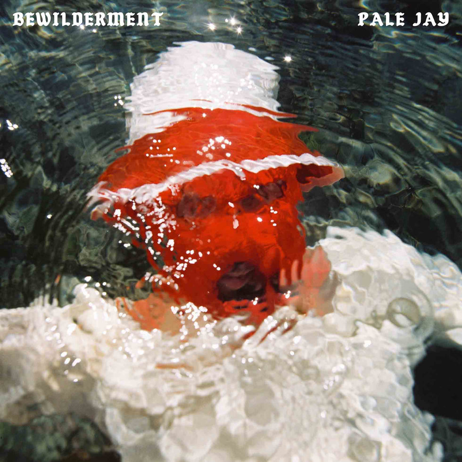 Bewilderment - Front Cover