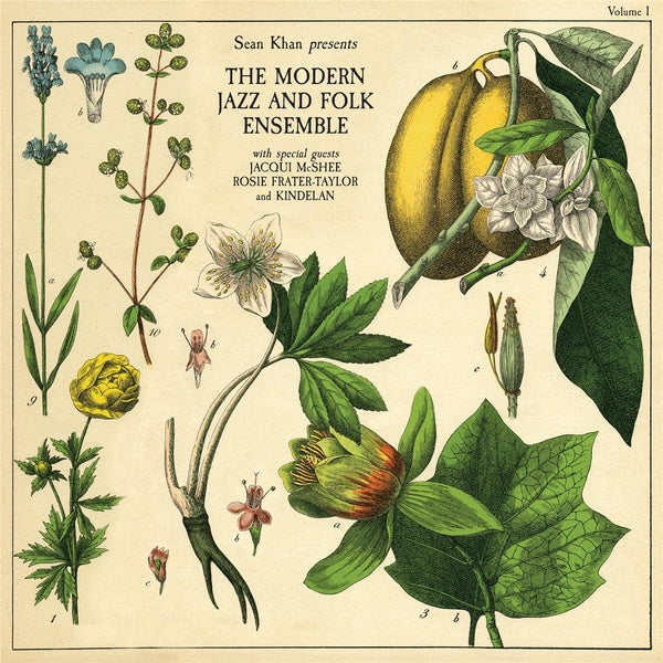 Sean Khan Presents The Modern Folk & Jazz Ensemble - Front Cover
