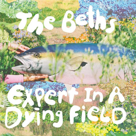 Expert In A Dying Field - Front Cover