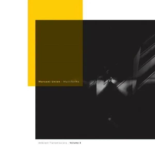 Multiforms : Ambient Transmissions, Volume 3 - Front Cover