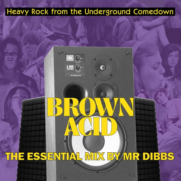 Brown Acid The Essential Mix By Mr. Dibbs - Front Cover