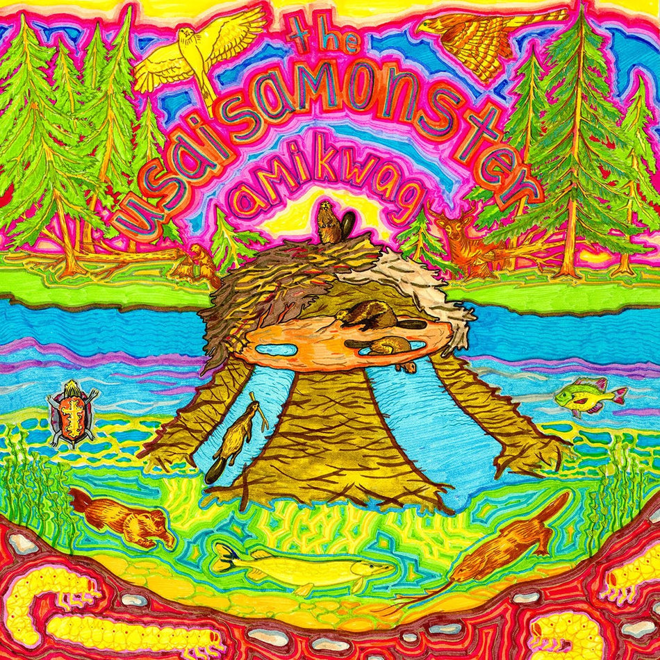 AMIKWAG - Front Cover