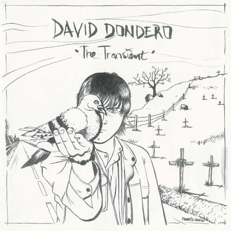 The Transient - Vinyle 180 Gr - Front Cover