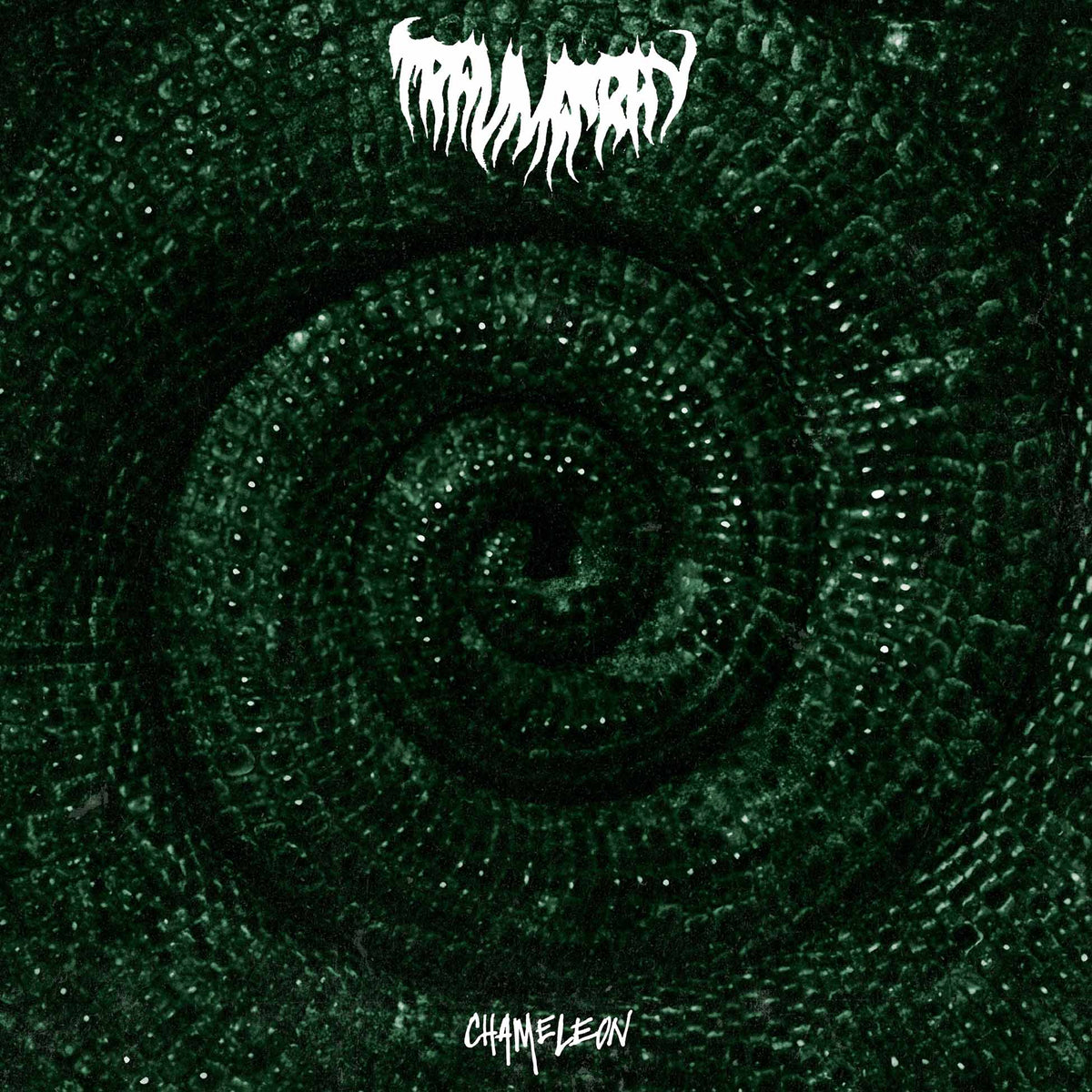 Chameleon - Front Cover