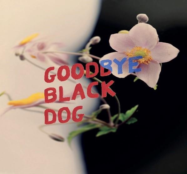 Goodbye Black Dog - Front Cover