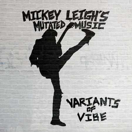Variants Of Vibe - Front Cover
