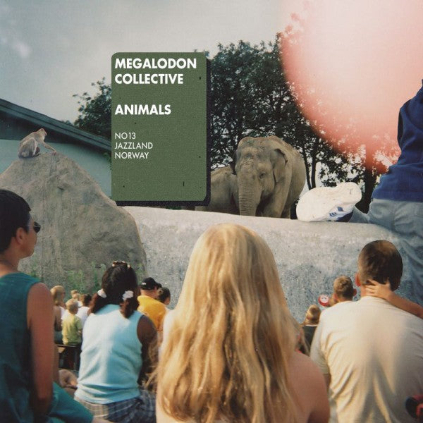 Animals - Front Cover