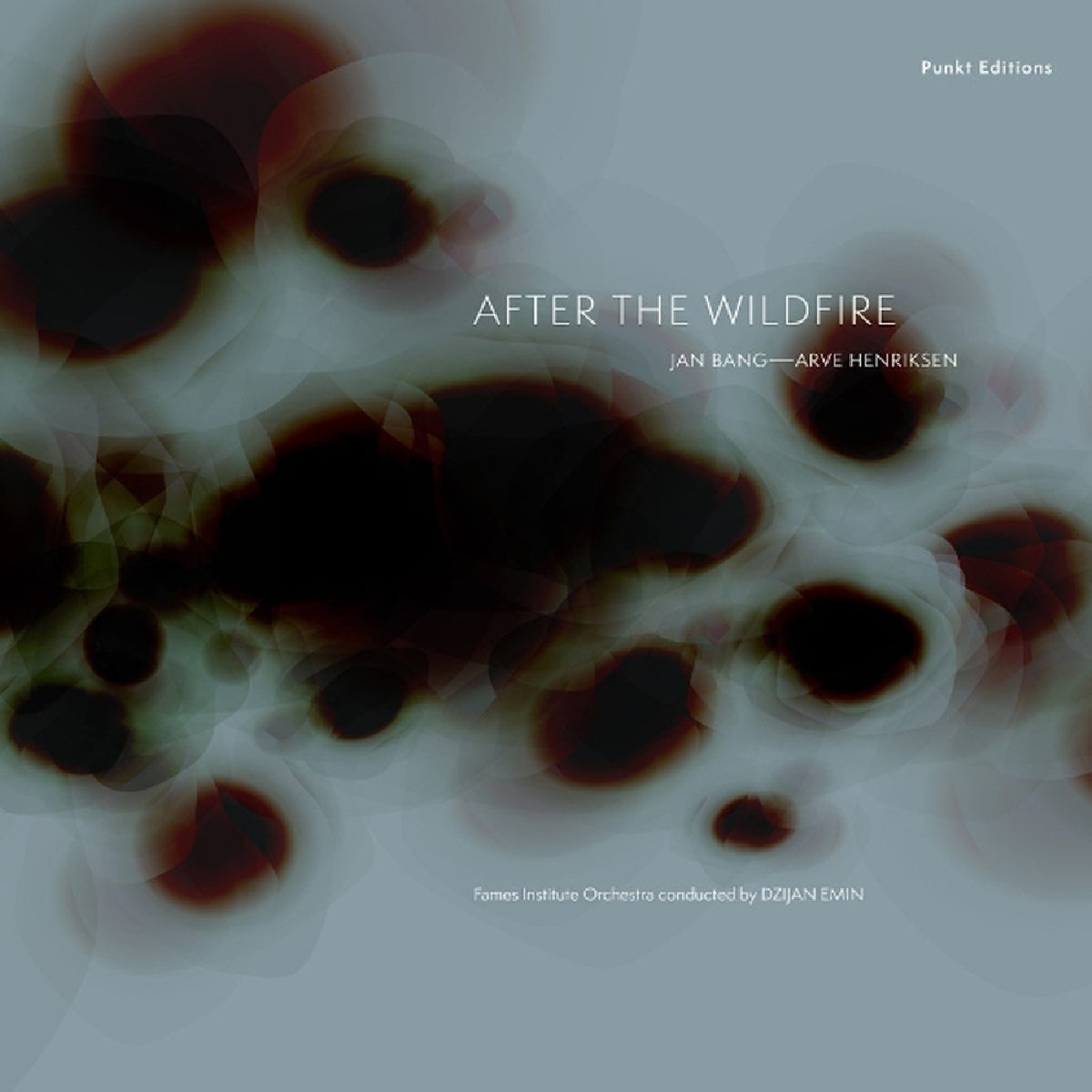 After The Wildfire - Front Cover