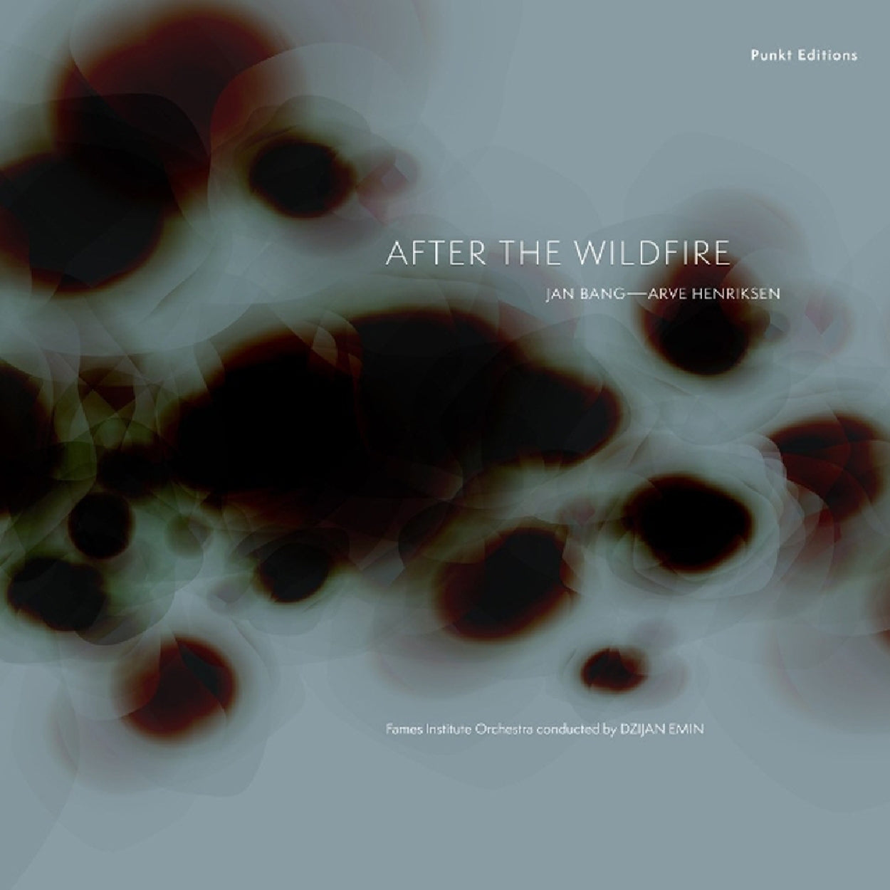After The Wildfire - Front Cover