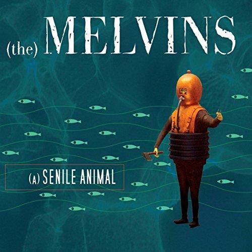 A senile animal - Front Cover