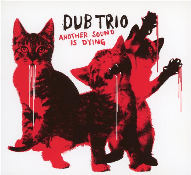 Another sound is dying - Front Cover