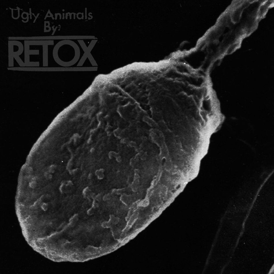 UGLY ANIMALS - Front Cover