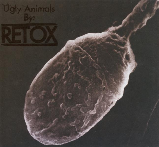 Ugly animals - Front Cover