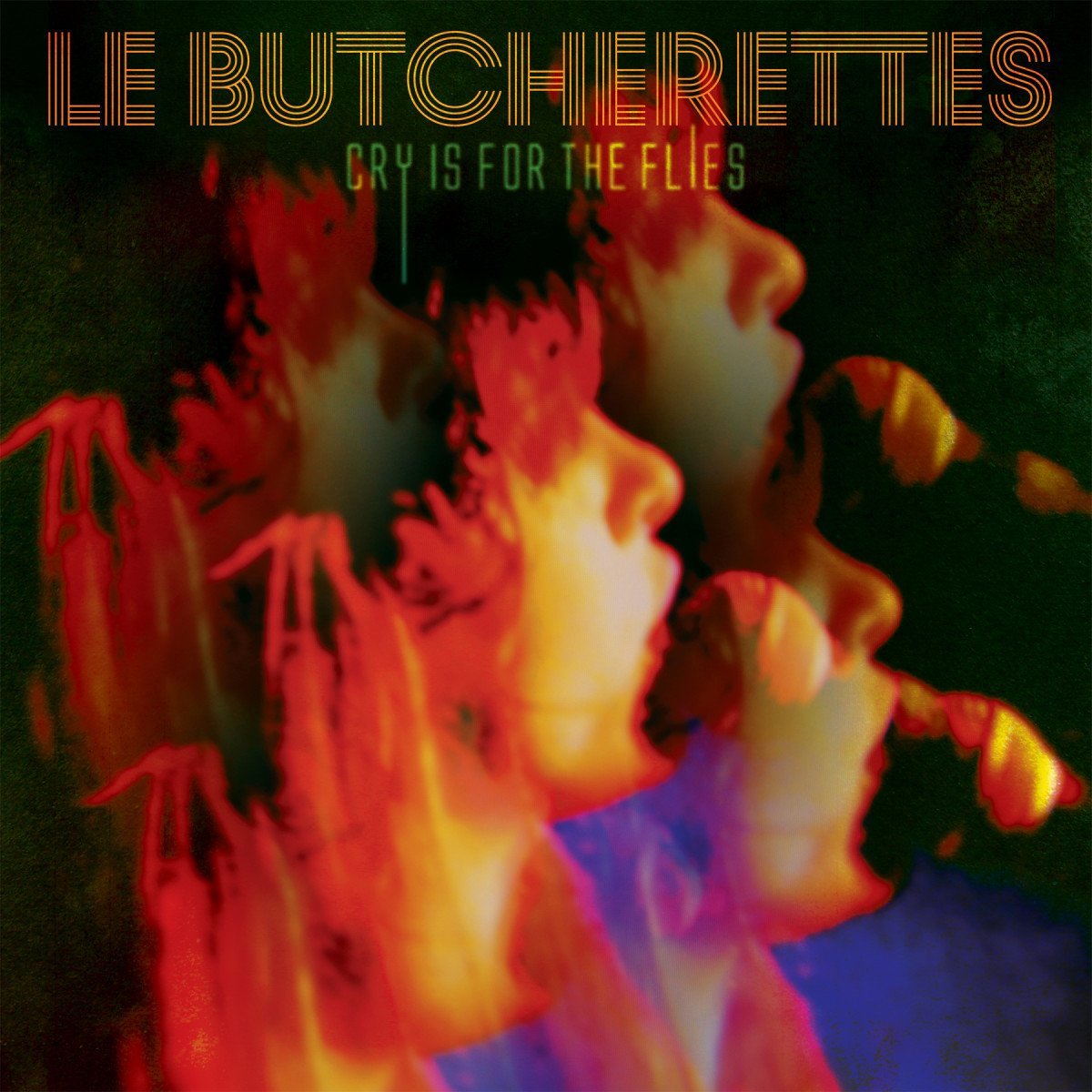 Cry Is For The Flies - Front Cover