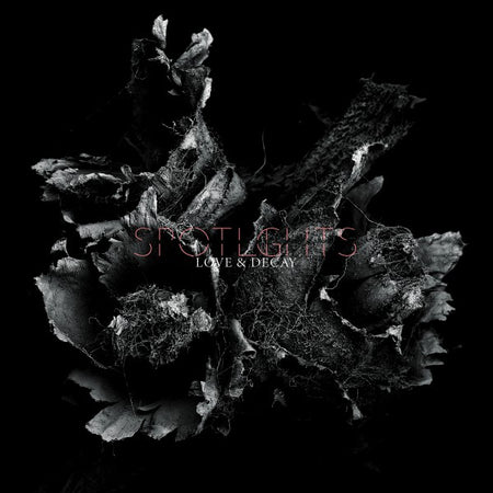 Love & Decay - Front Cover