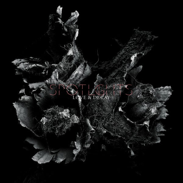 Love & Decay - Front Cover