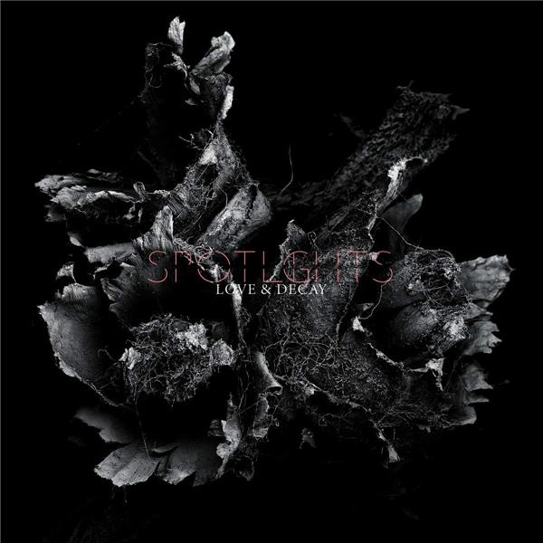Love & decay - Front Cover