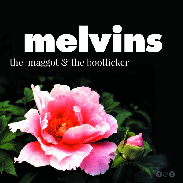 The Maggot & The Bootlicker - Front Cover