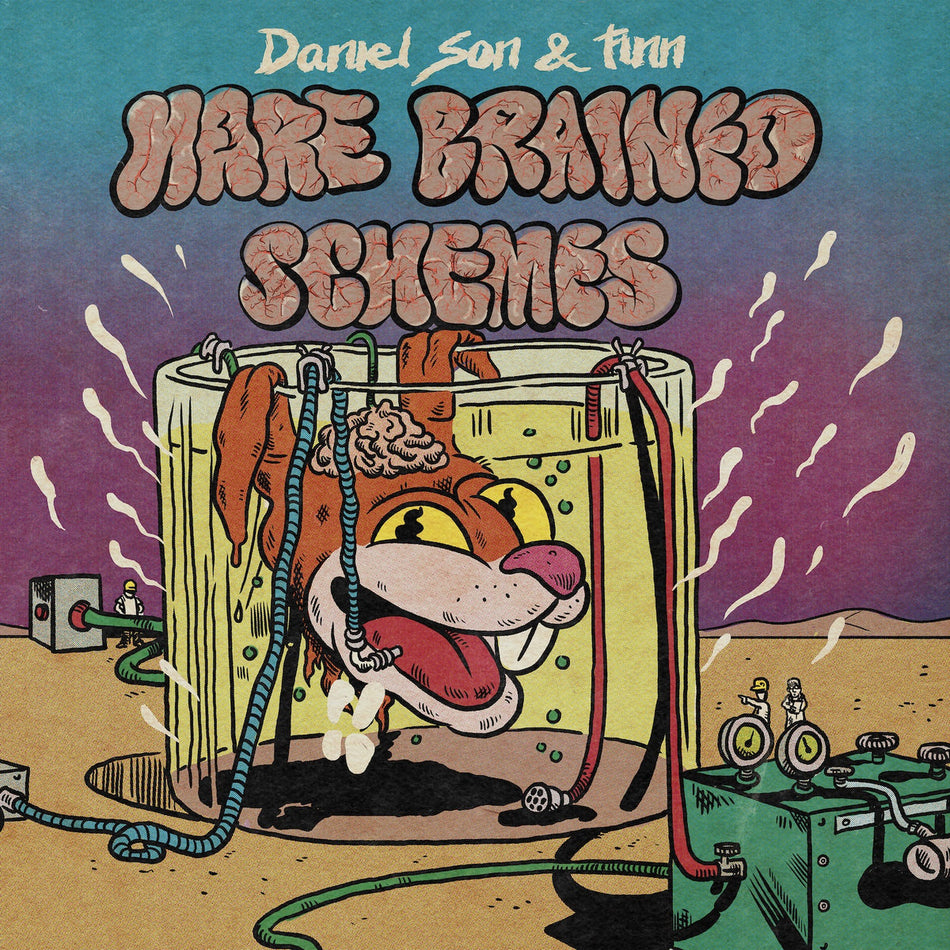 Hare Brained Schemes - Front Cover