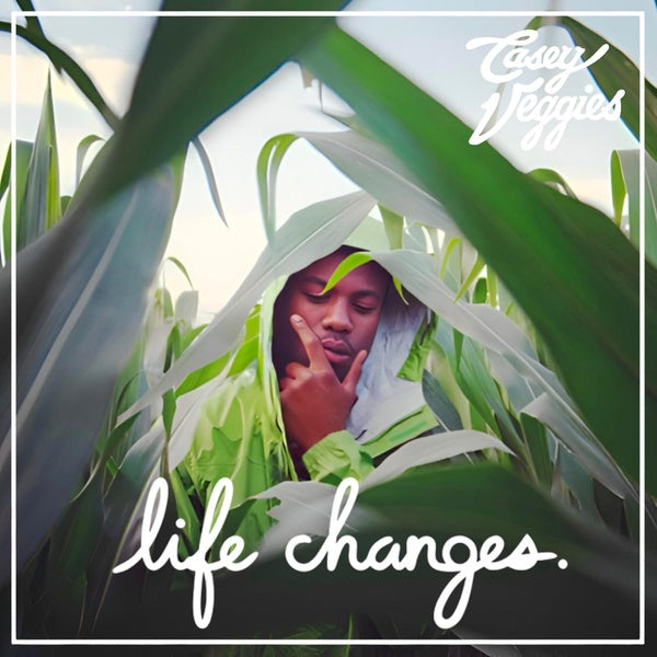 Life Changes - Front Cover