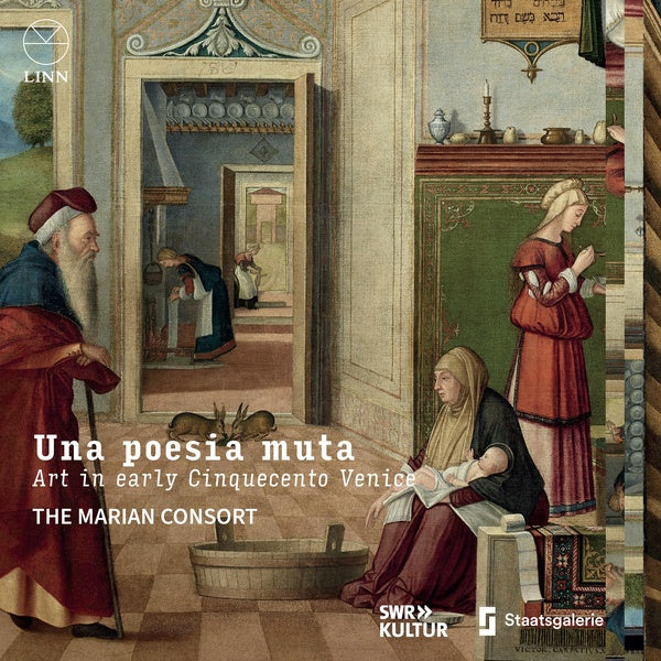 Una poesia muta-Art In Early Cinquecento Venice - Front Cover
