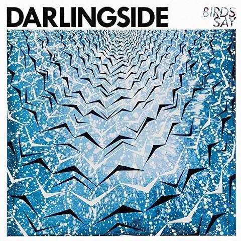Birds Say - Front Cover