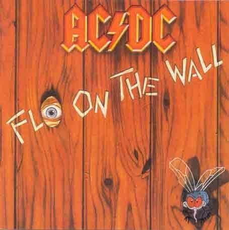 Fly On The Wall - Front Cover