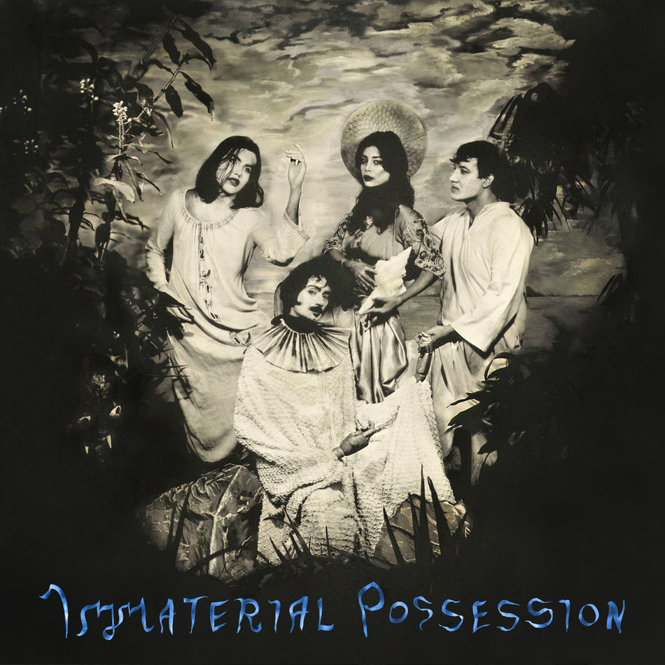 Immaterial Possession - Front Cover