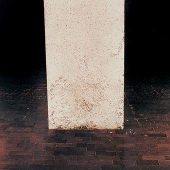 Imposed Order / Imposed Absence (Remastered + Expanded) - Front Cover