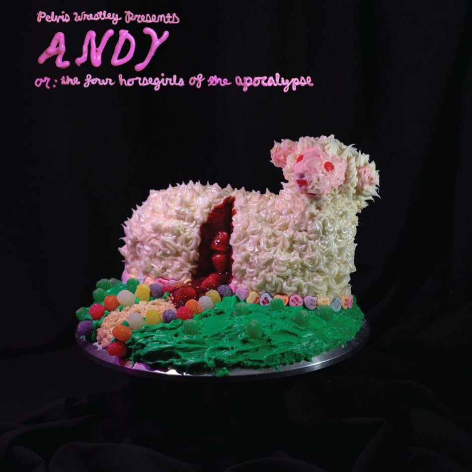 ANDY OR THE FOUR HORSEGIRLS OF THE APOCALYPSE/VINYLE NOIR - Front Cover
