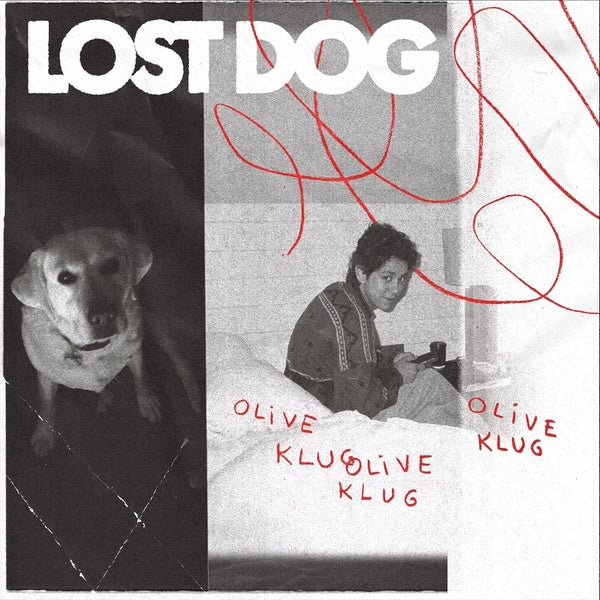 Lost Dog - Front Cover