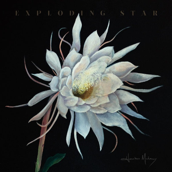Exploding Star - Front Cover