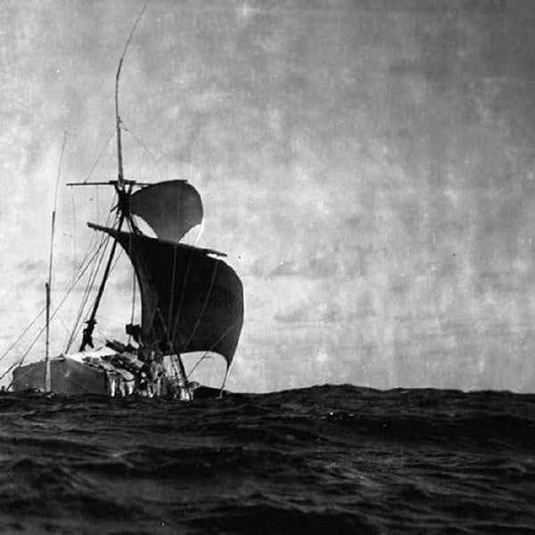 Battens/Transparent Vinyl - Front Cover