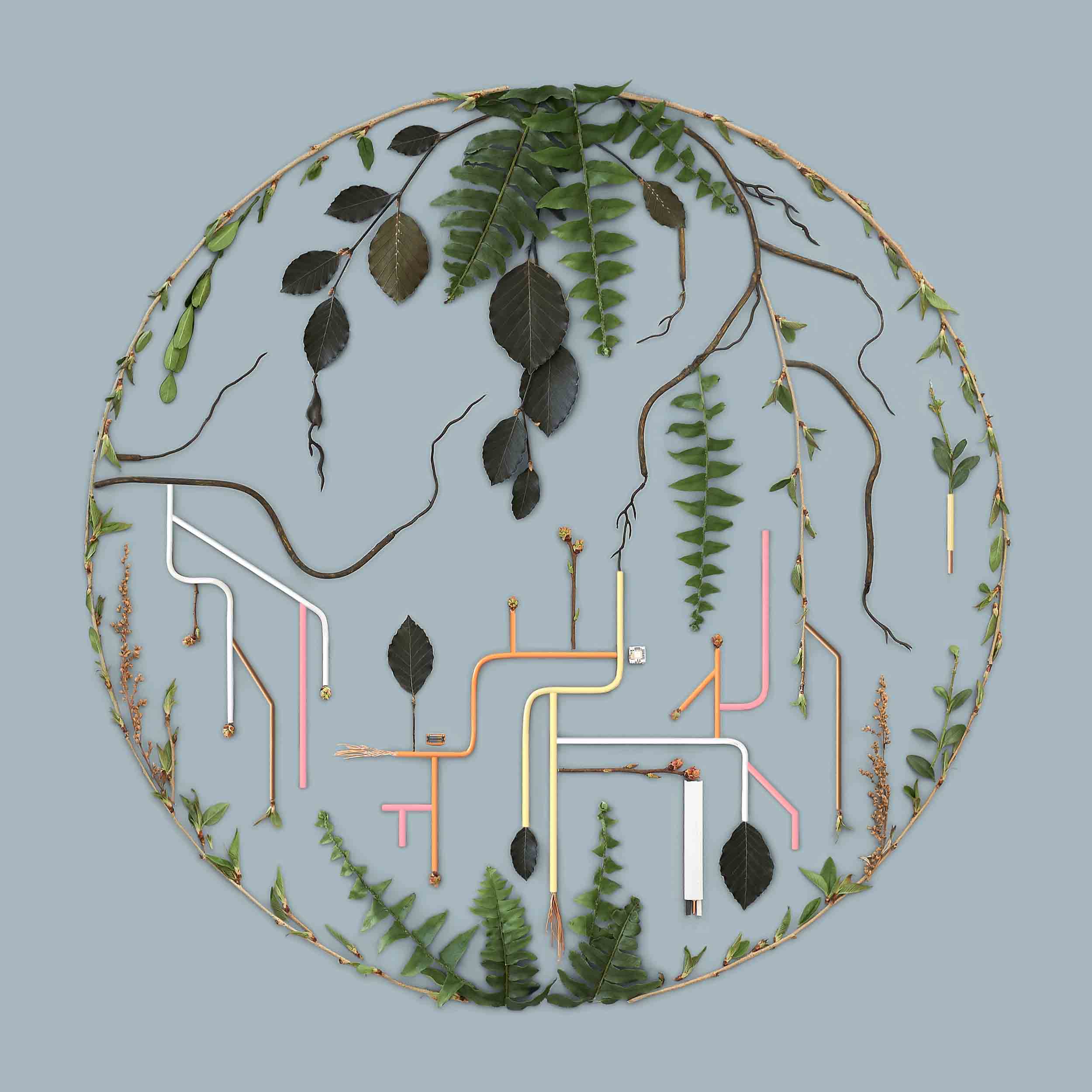 Tributaries Vol.2 - Front Cover