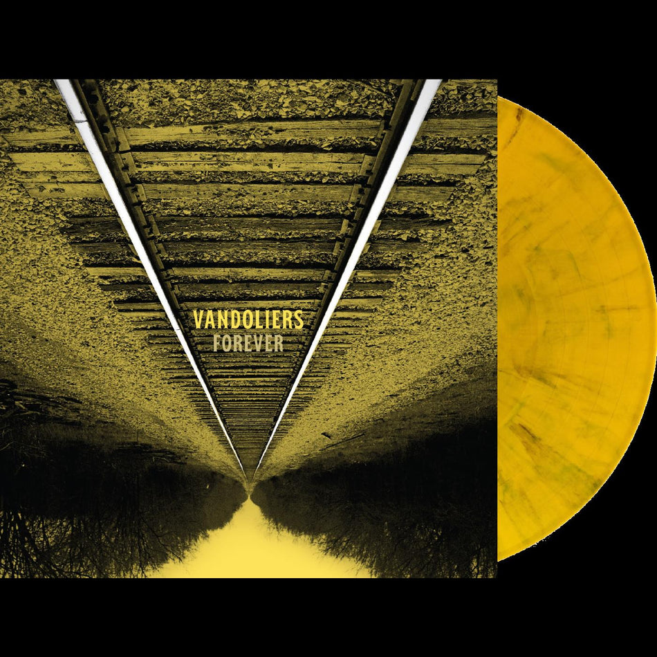 FOREVER/VINYLE AVEC ECLABOUSSURES OR ET NOIRES - Front Cover