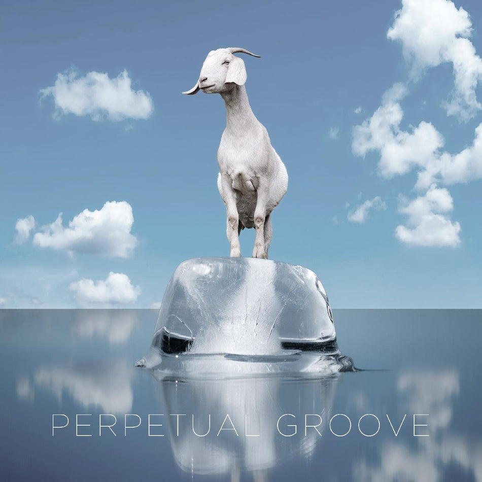 PERPETUAL GROOVE - Front Cover