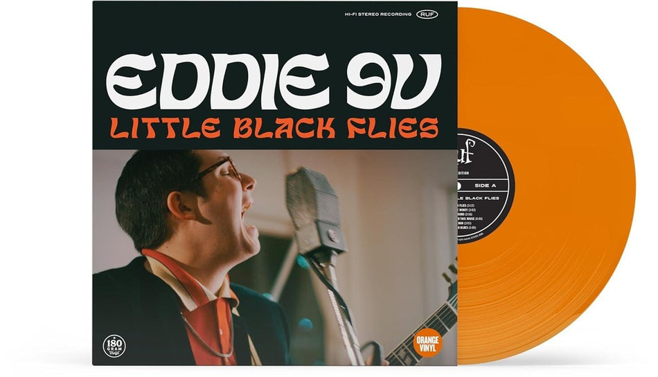LITTLE BLACK FLIES - Front Cover