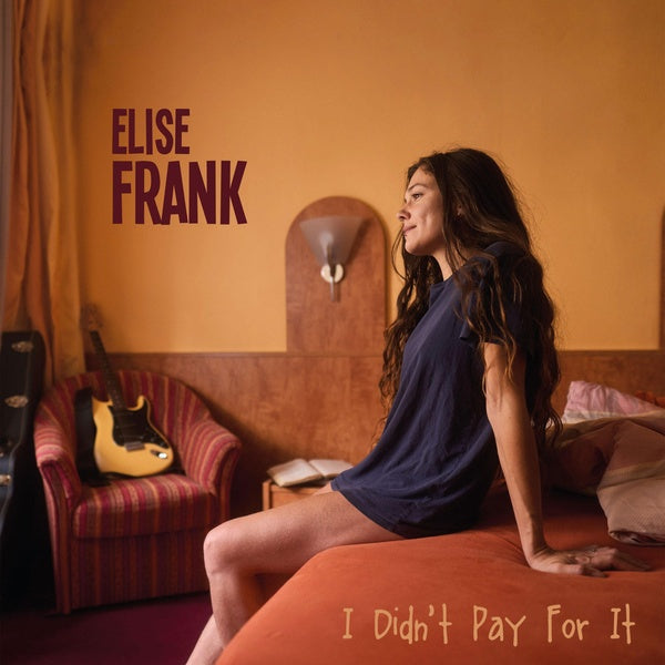 I DIDN'T PAY FOR IT - Front Cover
