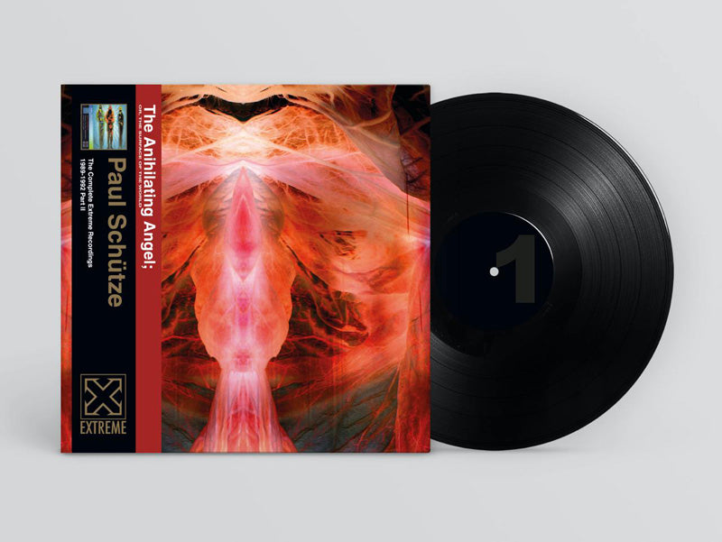 THE ANIHILATING ANGEL/OR THE SURFACE OF THE WORLD - Front Cover