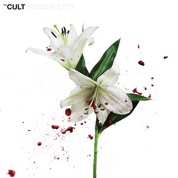HIDDEN CITY - Front Cover
