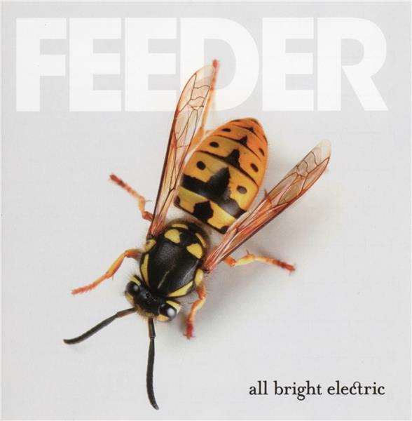 All bright electric - Front Cover