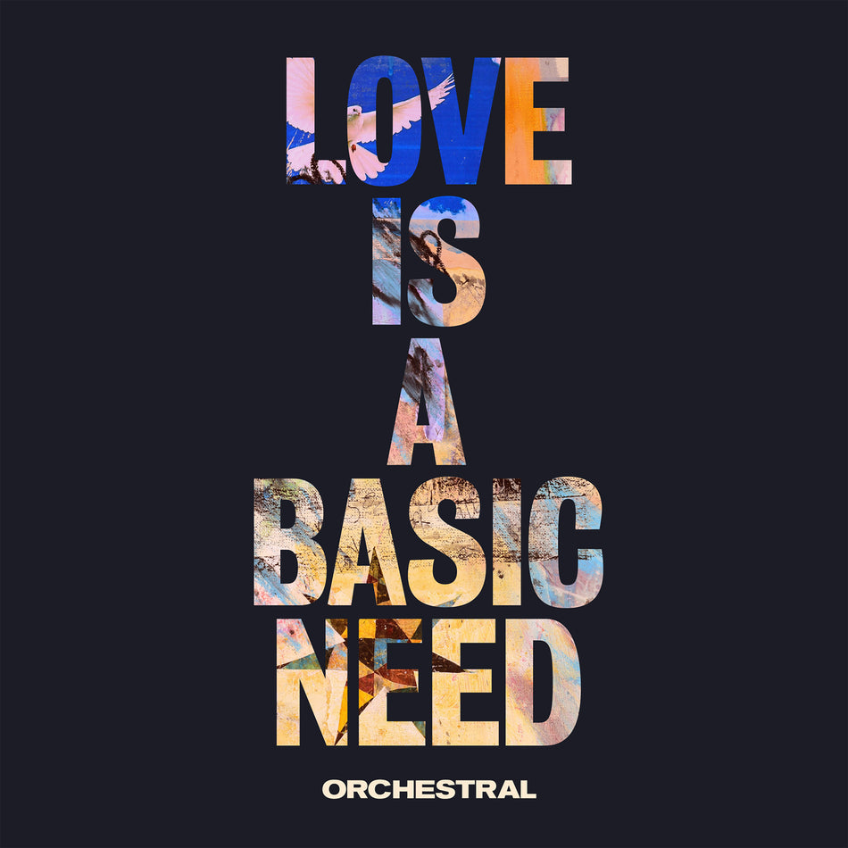 LOVE IS A BASIC NEED.. - Front Cover