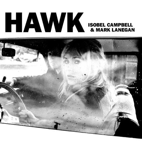 Hawk - Front Cover