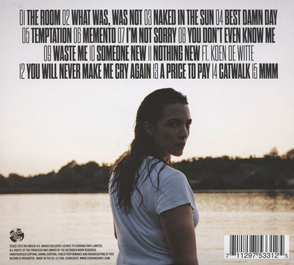 NOWHERE NEAR THE SKY - Back Cover