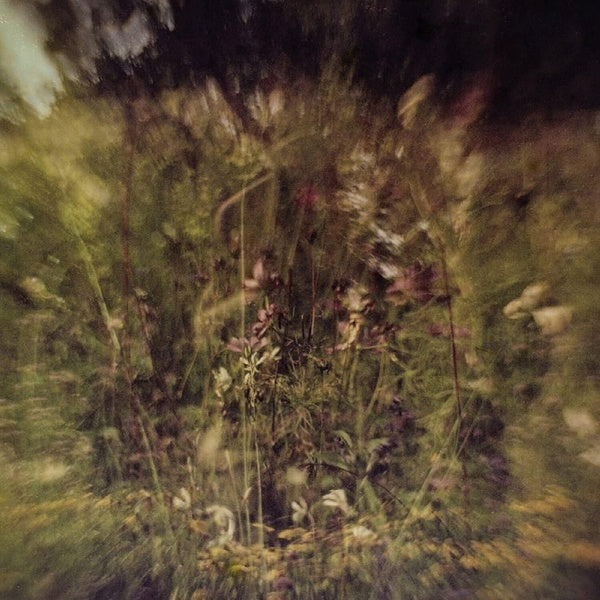 Wile + Remembered - Vinyle Violet - Front Cover