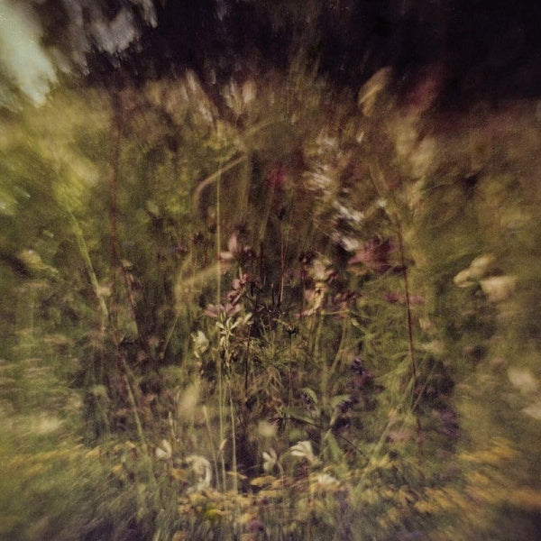 Across The Park + Sevens - Front Cover